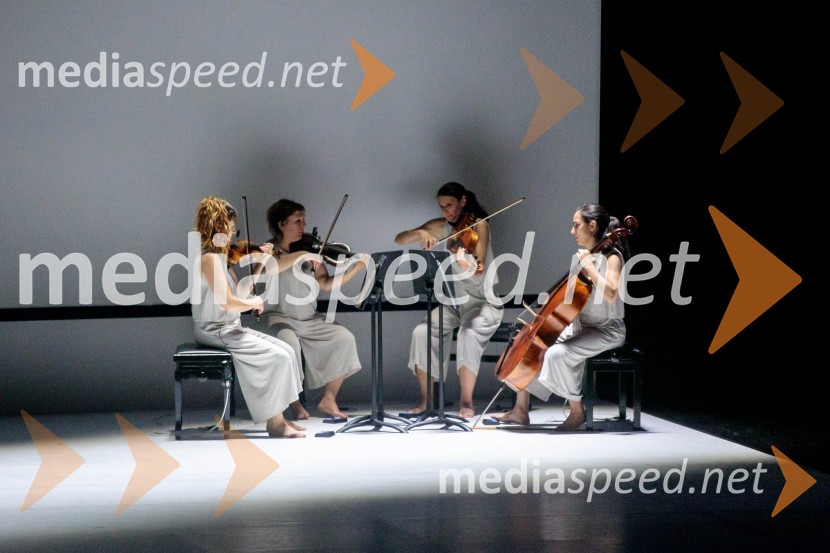 Sydney Dance Company: Dvojina, plesna predstava v Cankarjevem domu