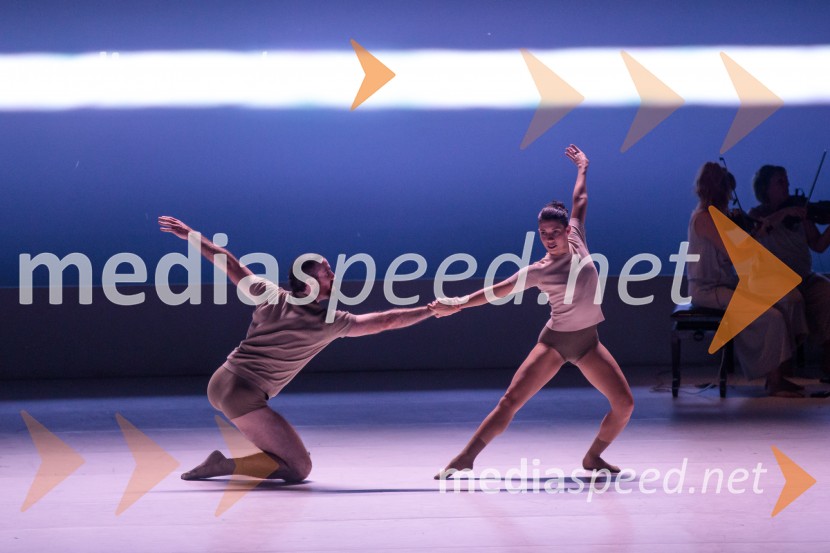Sydney Dance Company: Dvojina, plesna predstava v Cankarjevem domu