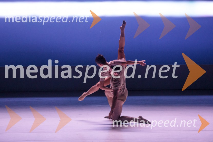 Sydney Dance Company: Dvojina, plesna predstava v Cankarjevem domu