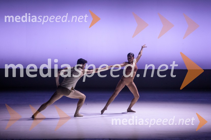 Sydney Dance Company: Dvojina, plesna predstava v Cankarjevem domu