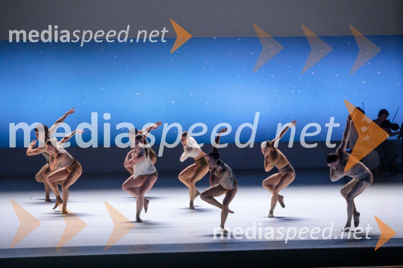 Sydney Dance Company: Dvojina, plesna predstava v Cankarjevem domu