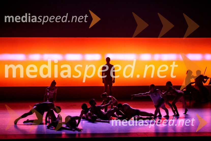 Sydney Dance Company: Dvojina, plesna predstava v Cankarjevem domu