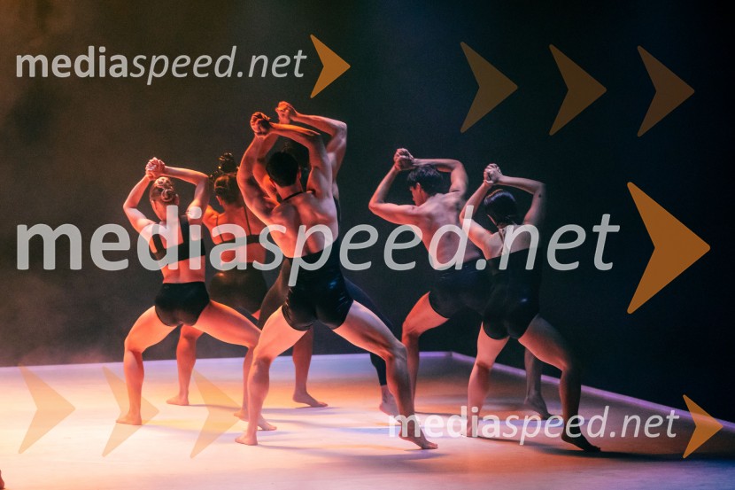 Sydney Dance Company: Dvojina, plesna predstava v Cankarjevem domu