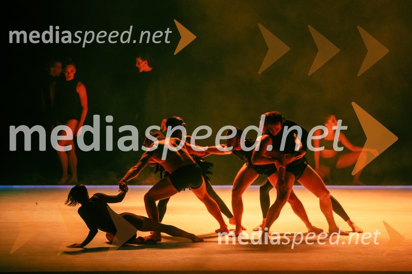 Sydney Dance Company: Dvojina, plesna predstava v Cankarjevem domu