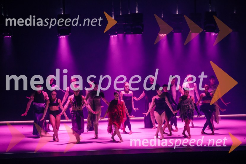 Sydney Dance Company: Dvojina, plesna predstava v Cankarjevem domu