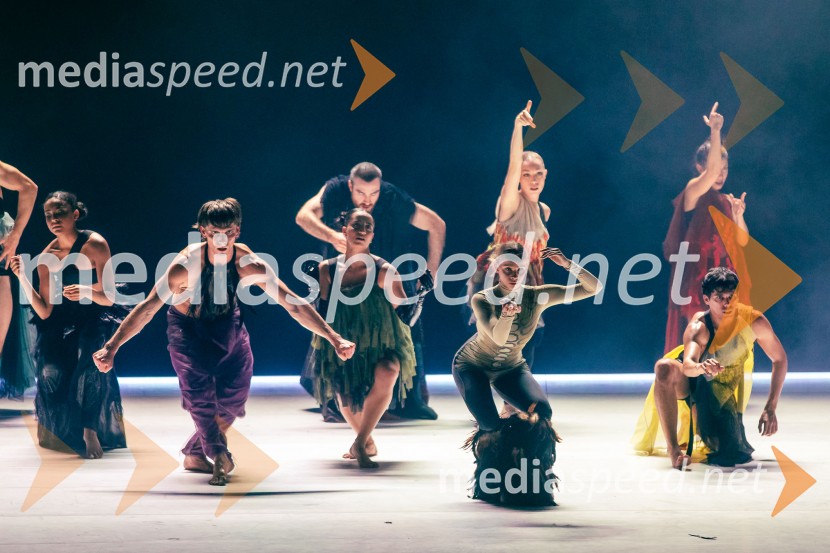 Sydney Dance Company: Dvojina, plesna predstava v Cankarjevem domu