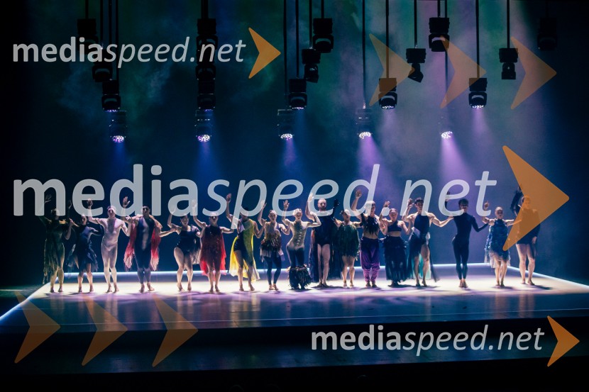 Sydney Dance Company: Dvojina, plesna predstava v Cankarjevem domu