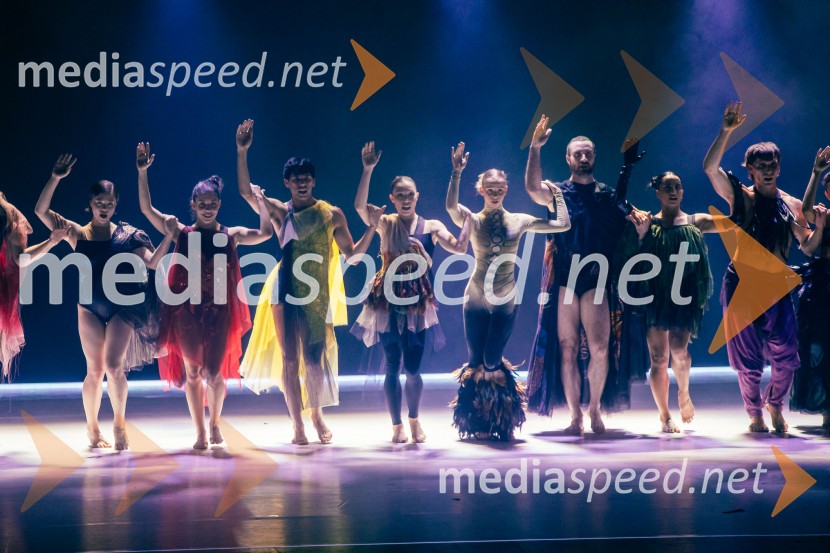 Sydney Dance Company: Dvojina, plesna predstava v Cankarjevem domu