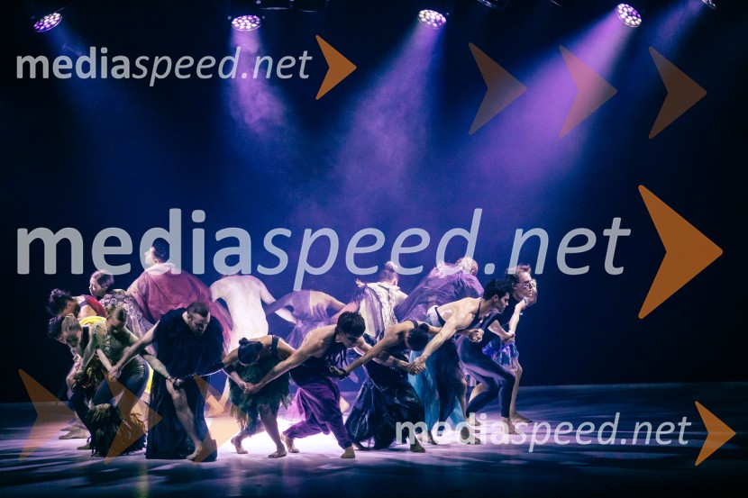 Sydney Dance Company: Dvojina, plesna predstava v Cankarjevem domu