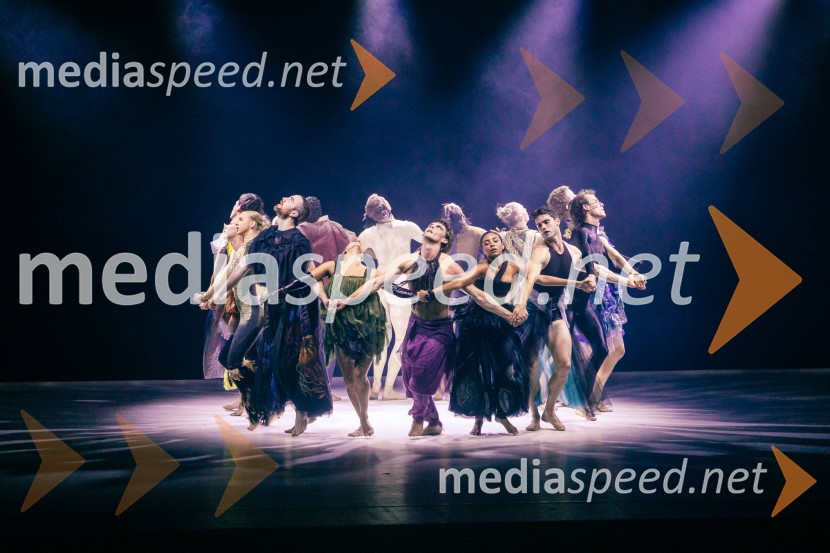 Sydney Dance Company: Dvojina, plesna predstava v Cankarjevem domu