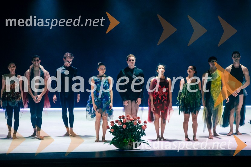 Sydney Dance Company: Dvojina, plesna predstava v Cankarjevem domu