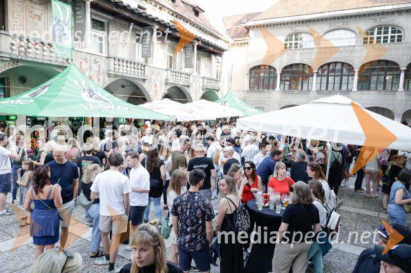 FESTIVAL 202: Joker Out, MRFY, Koala Voice, Kokosy in drugi