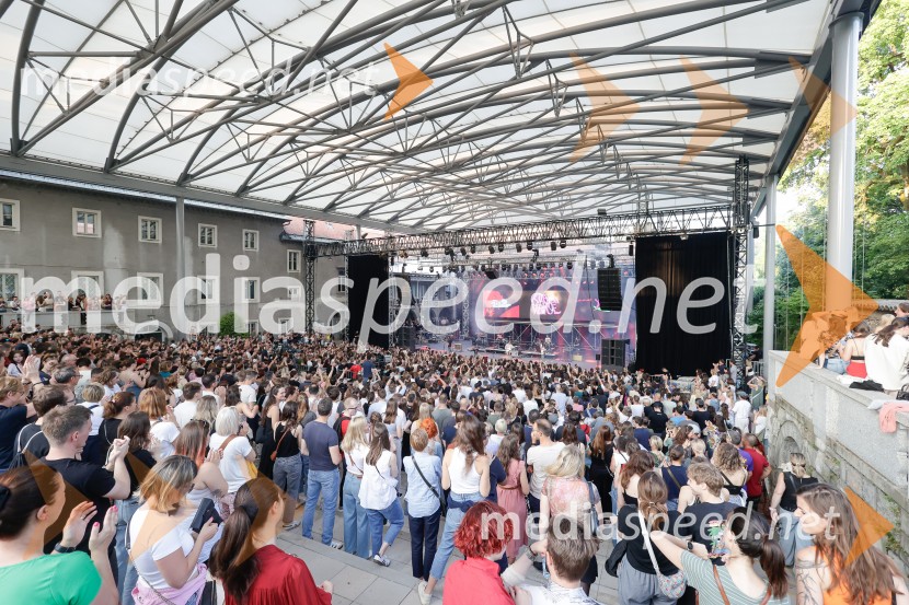 FESTIVAL 202: Joker Out, MRFY, Koala Voice, Kokosy in drugi