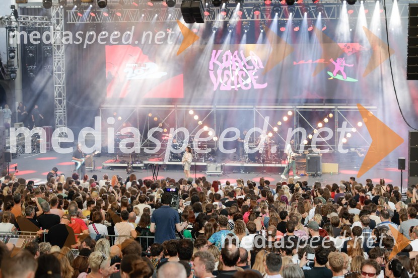 FESTIVAL 202: Joker Out, MRFY, Koala Voice, Kokosy in drugi