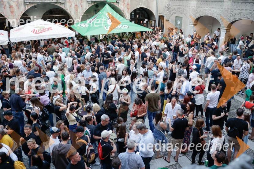 FESTIVAL 202: Joker Out, MRFY, Koala Voice, Kokosy in drugi