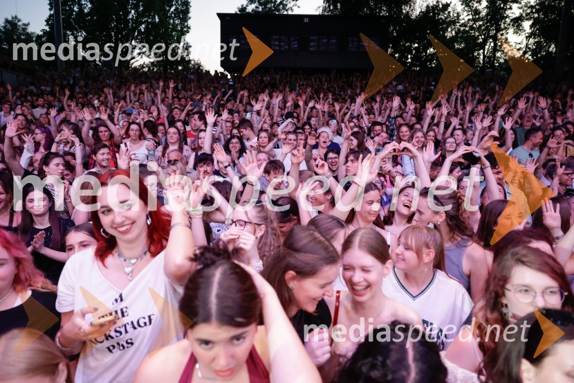 FESTIVAL 202: Joker Out, MRFY, Koala Voice, Kokosy in drugi