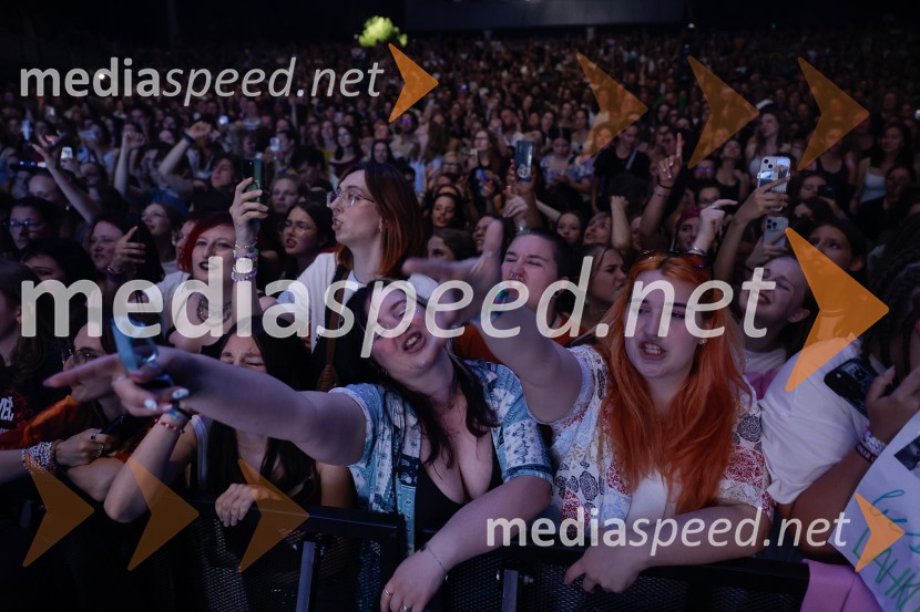 FESTIVAL 202: Joker Out, MRFY, Koala Voice, Kokosy in drugi