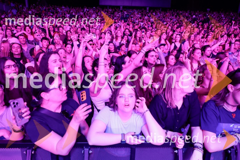 FESTIVAL 202: Joker Out, MRFY, Koala Voice, Kokosy in drugi