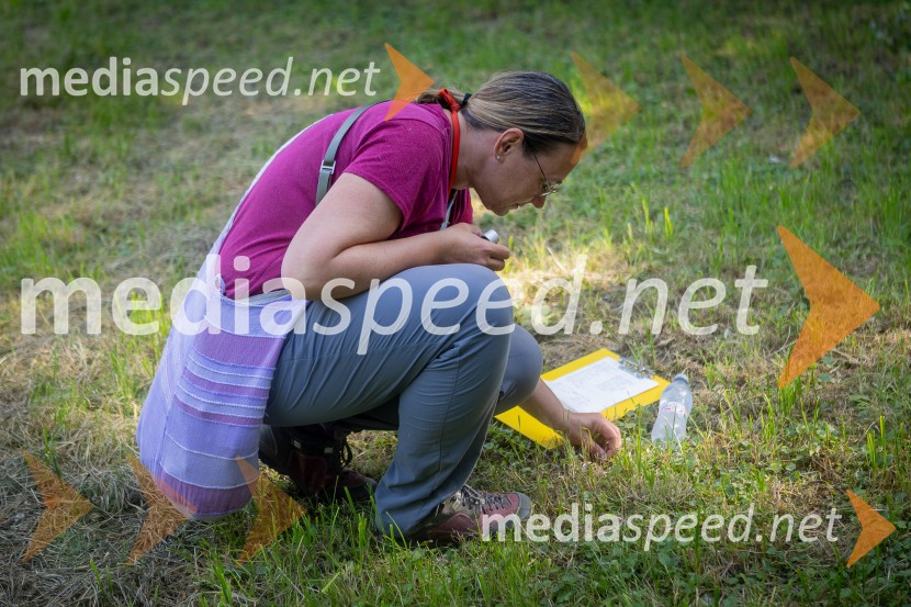 BioBlitz Slovenija 2025, 24-urno raziskovanje narave