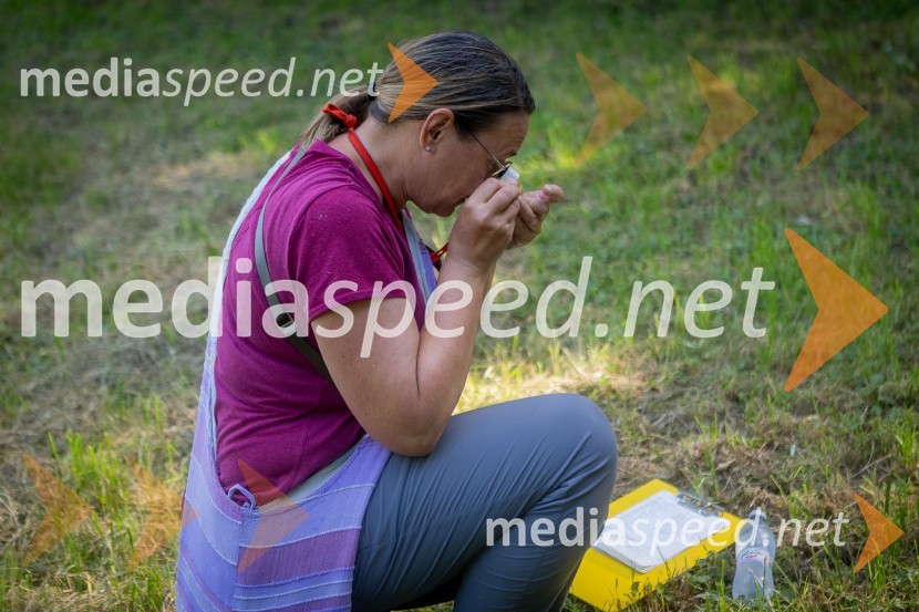 BioBlitz Slovenija 2025, 24-urno raziskovanje narave