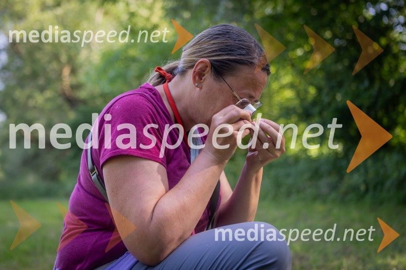 BioBlitz Slovenija 2025, 24-urno raziskovanje narave