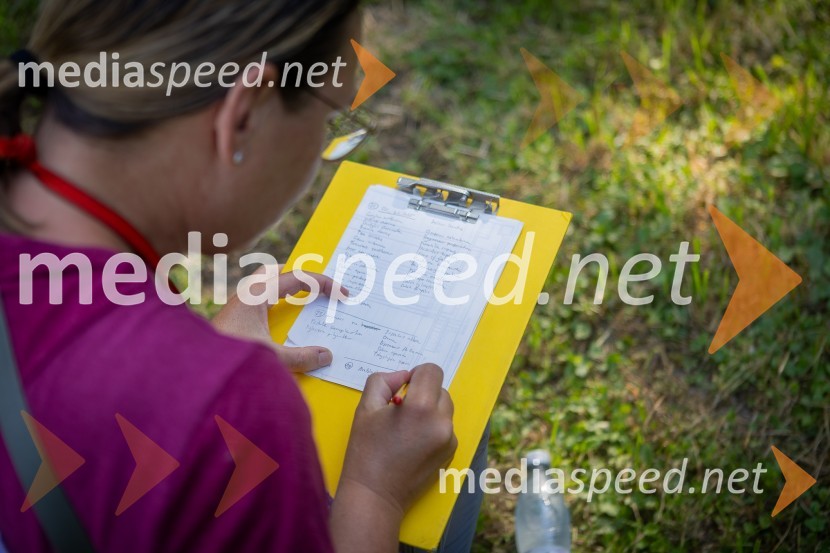 BioBlitz Slovenija 2025, 24-urno raziskovanje narave