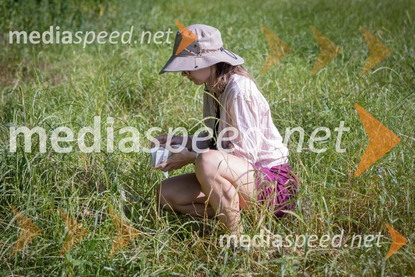 BioBlitz Slovenija 2025, 24-urno raziskovanje narave