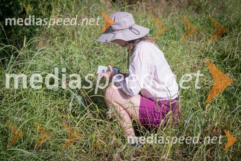 BioBlitz Slovenija 2025, 24-urno raziskovanje narave