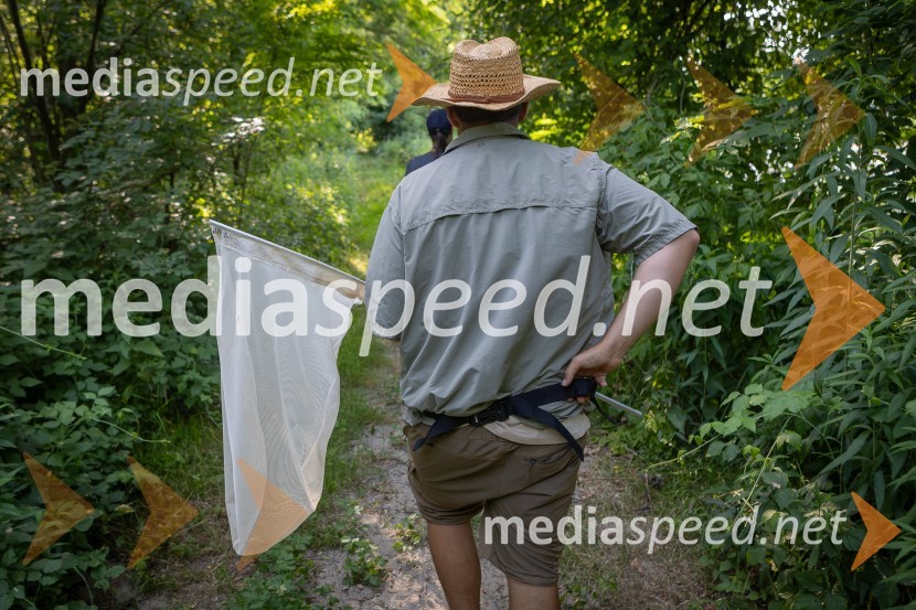 BioBlitz Slovenija 2025, 24-urno raziskovanje narave