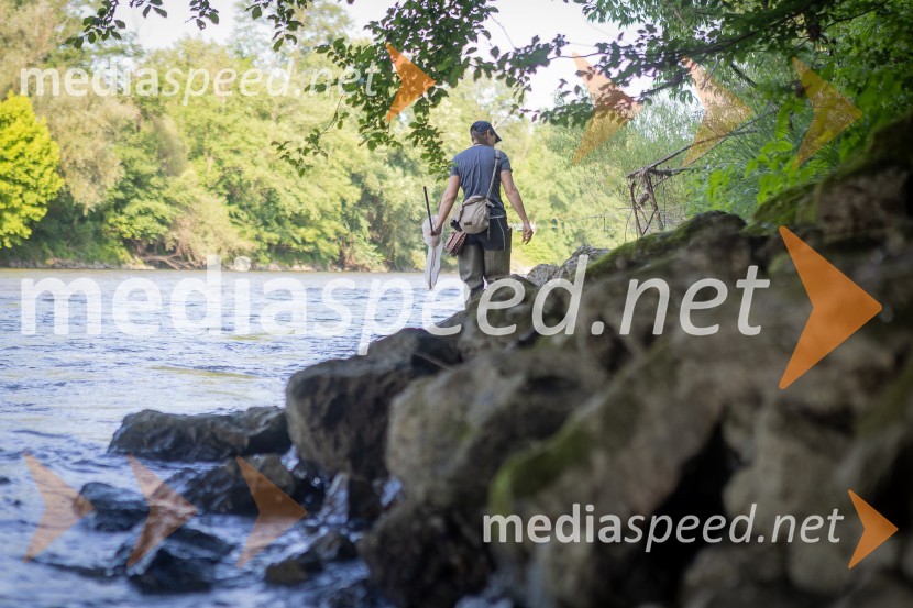 BioBlitz Slovenija 2025, 24-urno raziskovanje narave