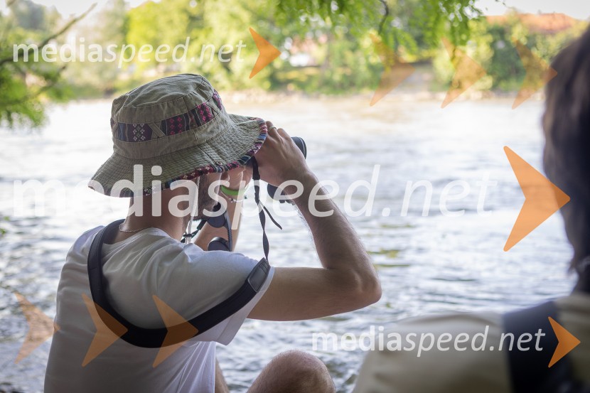 BioBlitz Slovenija 2025, 24-urno raziskovanje narave