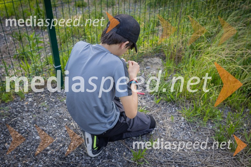 BioBlitz Slovenija 2025, 24-urno raziskovanje narave