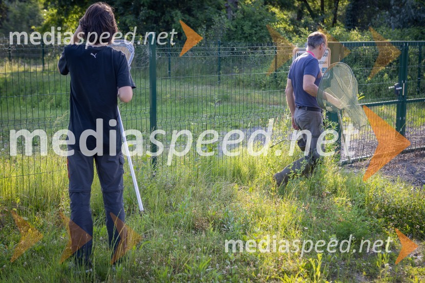 BioBlitz Slovenija 2025, 24-urno raziskovanje narave