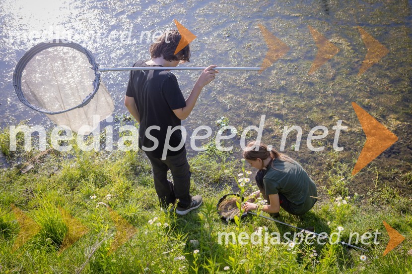 BioBlitz Slovenija 2025, 24-urno raziskovanje narave