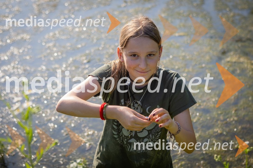 BioBlitz Slovenija 2025, 24-urno raziskovanje narave