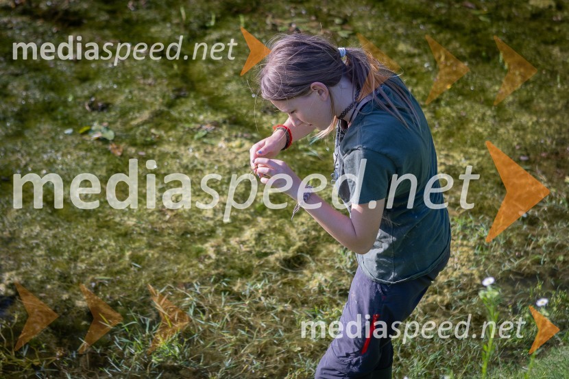 BioBlitz Slovenija 2025, 24-urno raziskovanje narave