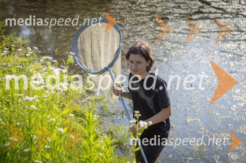 BioBlitz Slovenija 2025, 24-urno raziskovanje narave