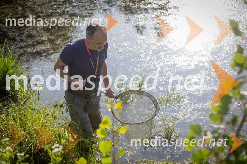 BioBlitz Slovenija 2025, 24-urno raziskovanje narave