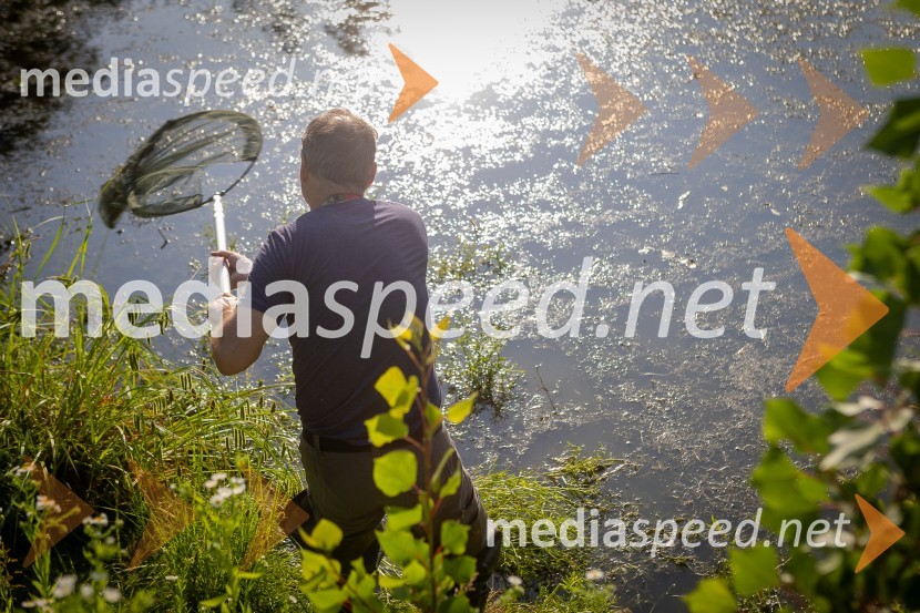 BioBlitz Slovenija 2025, 24-urno raziskovanje narave
