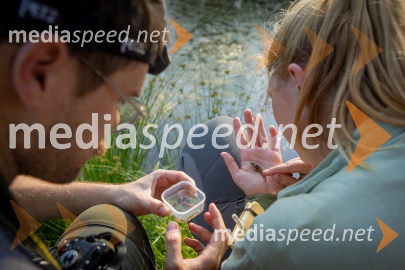 BioBlitz Slovenija 2025, 24-urno raziskovanje narave