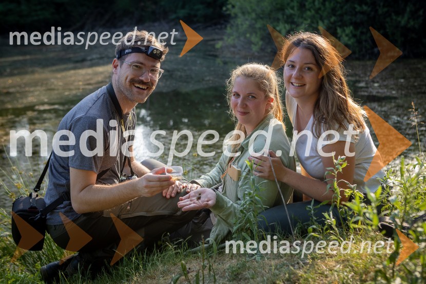 BioBlitz Slovenija 2025, 24-urno raziskovanje narave