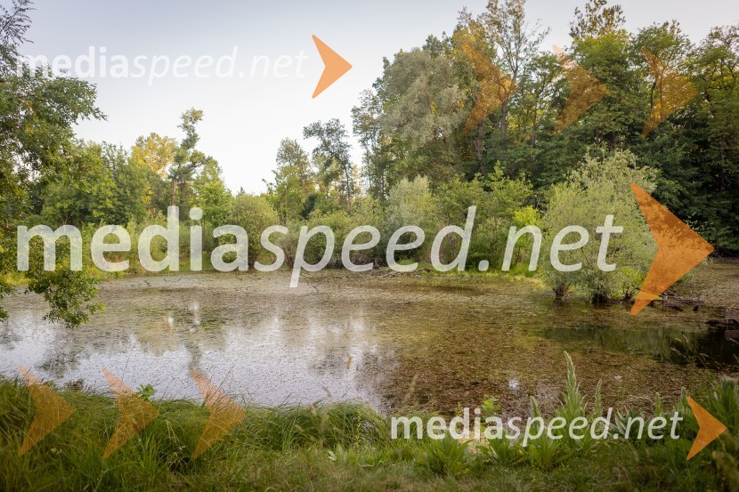 BioBlitz Slovenija 2025, 24-urno raziskovanje narave