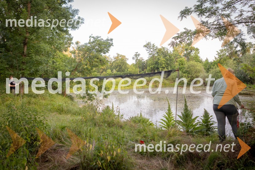 BioBlitz Slovenija 2025, 24-urno raziskovanje narave