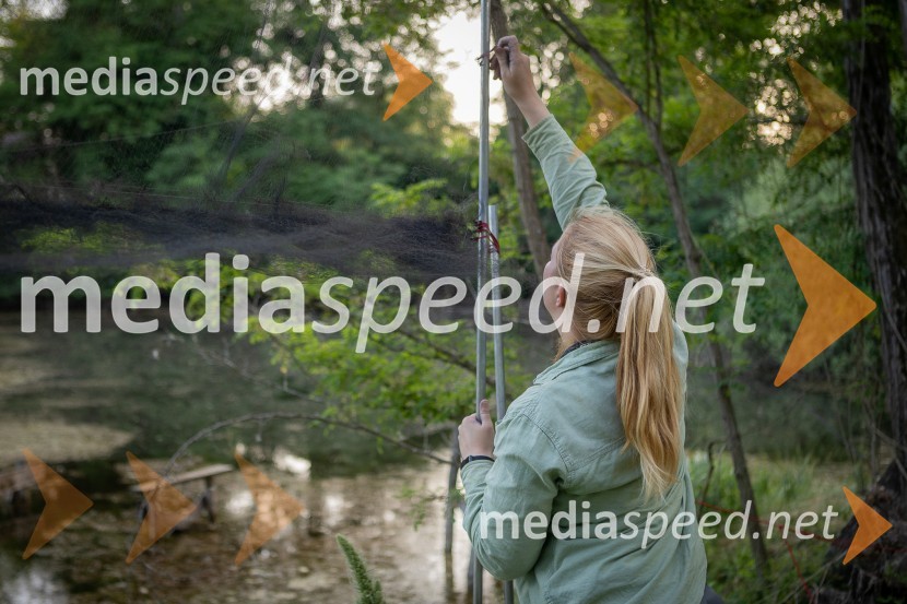 BioBlitz Slovenija 2025, 24-urno raziskovanje narave