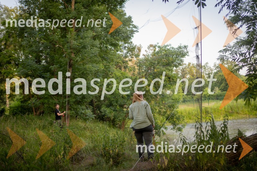 BioBlitz Slovenija 2025, 24-urno raziskovanje narave