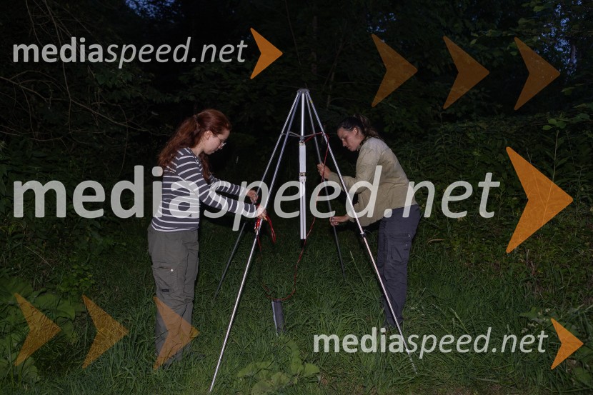 BioBlitz Slovenija 2025, 24-urno raziskovanje narave