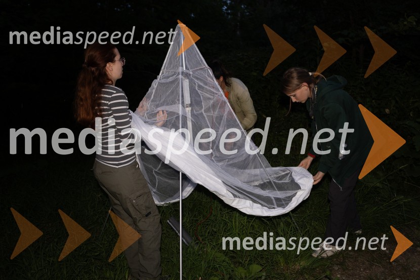 BioBlitz Slovenija 2025, 24-urno raziskovanje narave