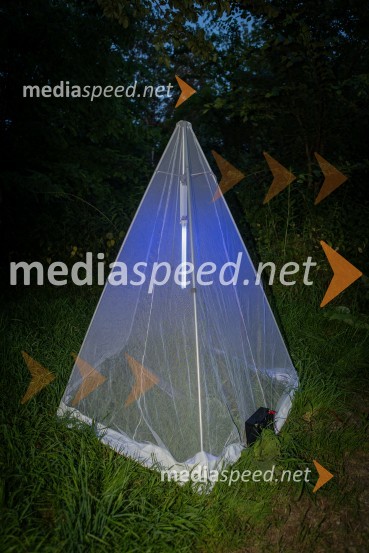 BioBlitz Slovenija 2025, 24-urno raziskovanje narave