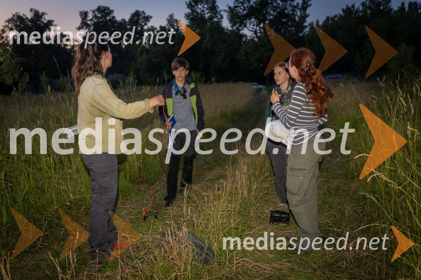 BioBlitz Slovenija 2025, 24-urno raziskovanje narave