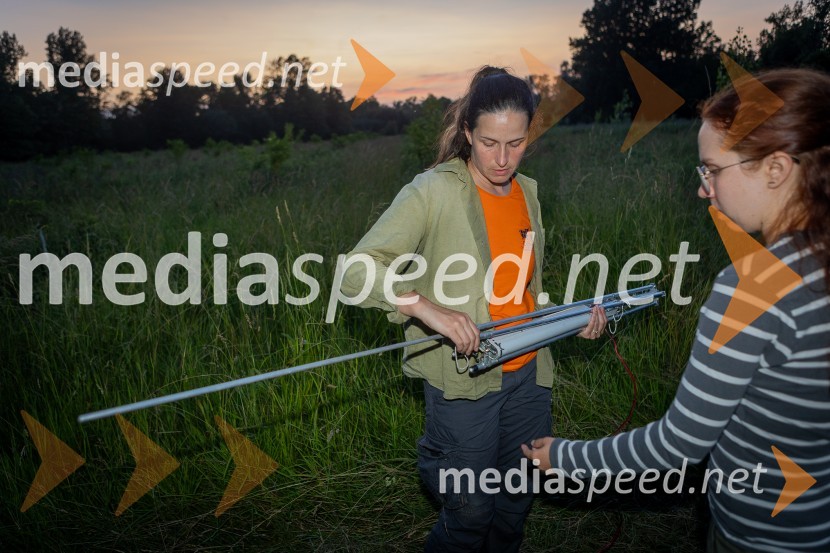 BioBlitz Slovenija 2025, 24-urno raziskovanje narave